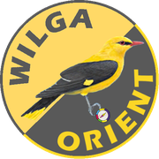 VII Wilga Orient