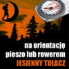 Jesienny Tułacz 