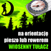 Wiosenny Tułacz 