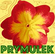 Prymulek